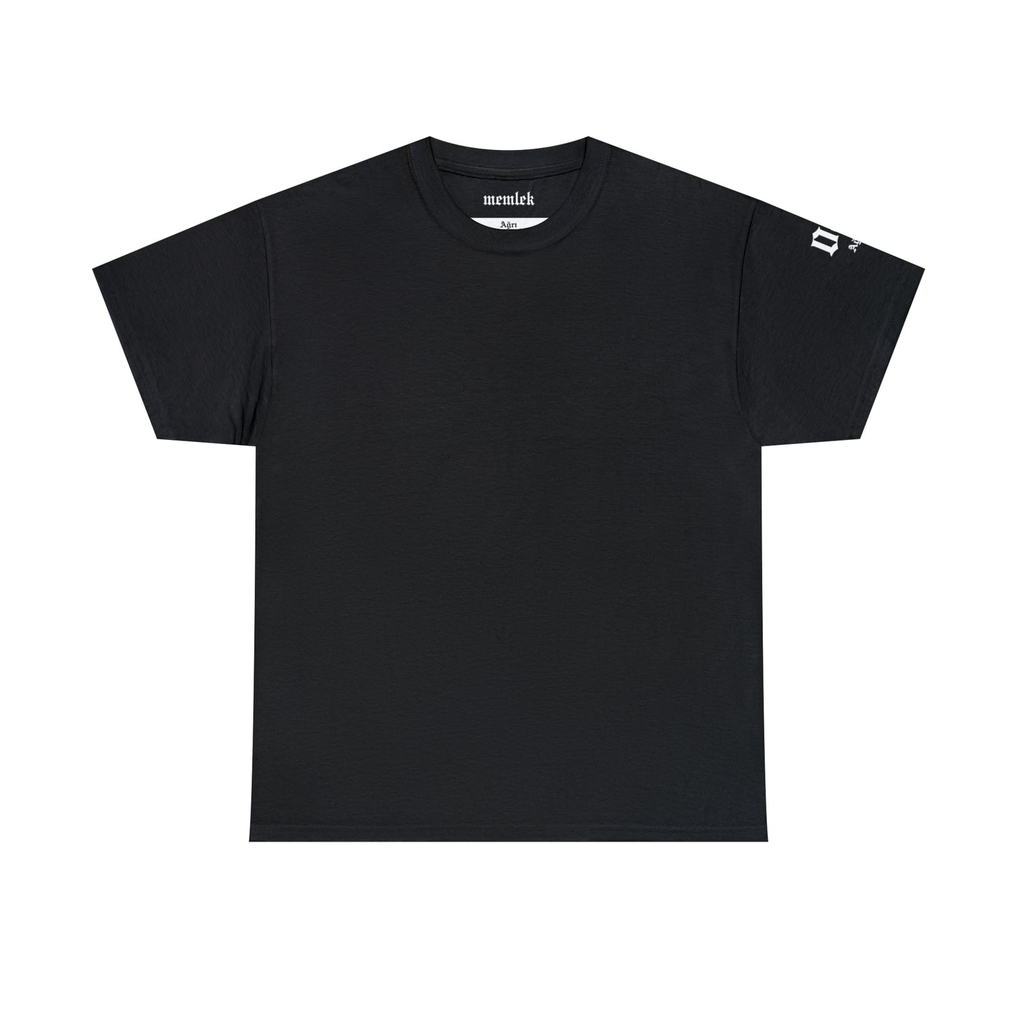Şehirim - 04 Ağrı - T-Shirt - Back Print - Black