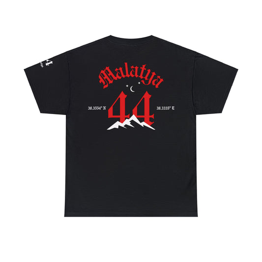 Şehirim - 44 Malatya - T-Shirt - Back Print - Black