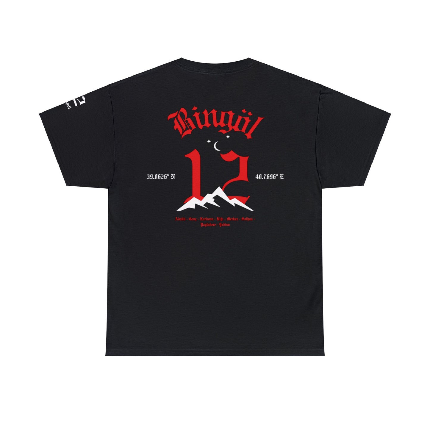 İlçem - 12 Bingöl - T-Shirt - Back Print - Black