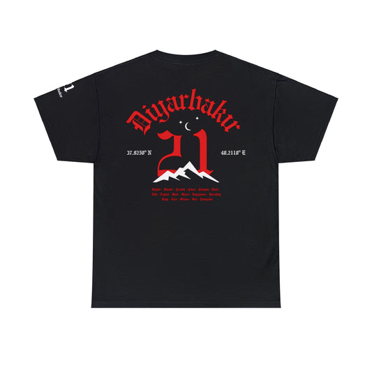 İlçem - 21 Diyarbakır - T-Shirt - Back Print - Black