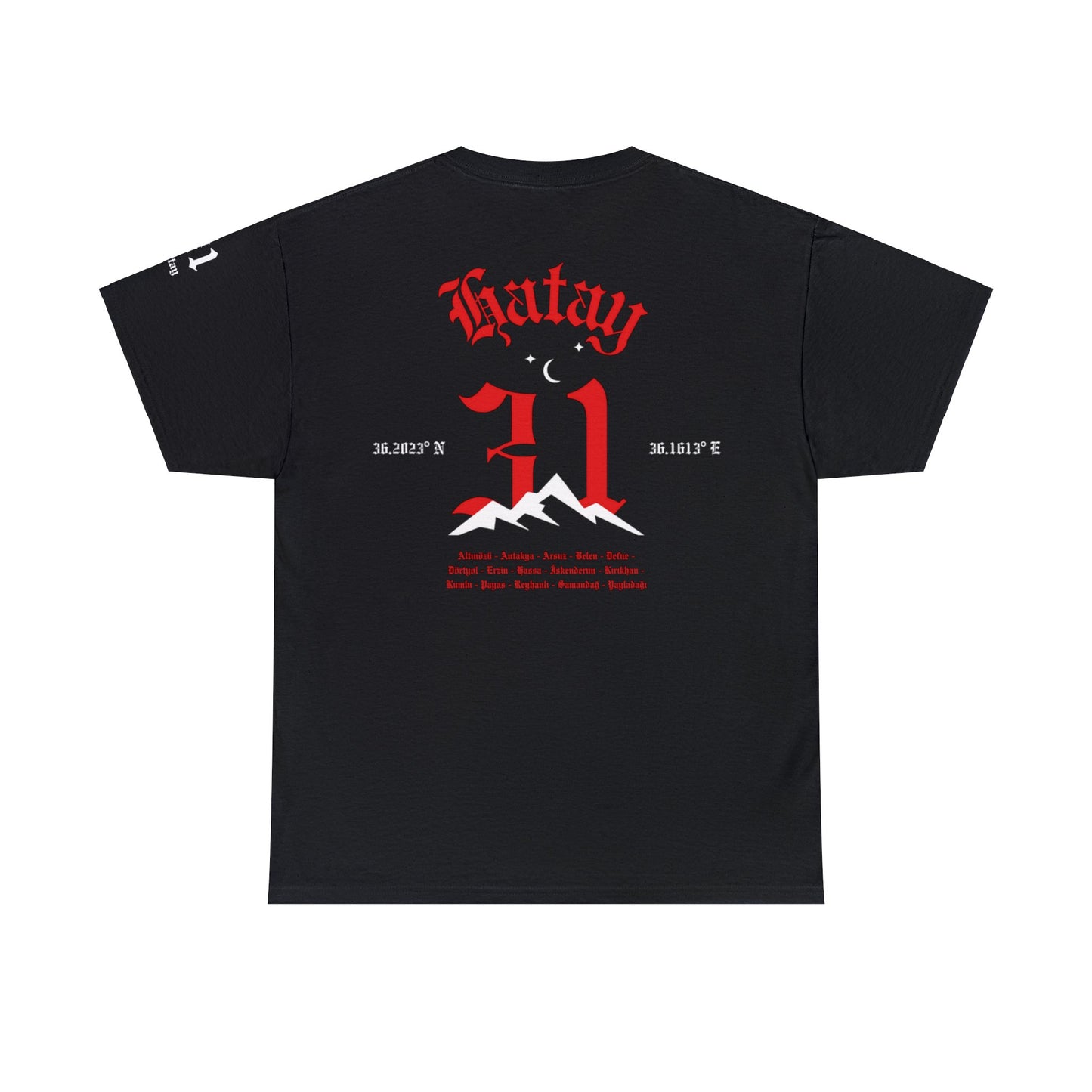 İlçem - 31 Hatay - T-Shirt - Back Print - Black