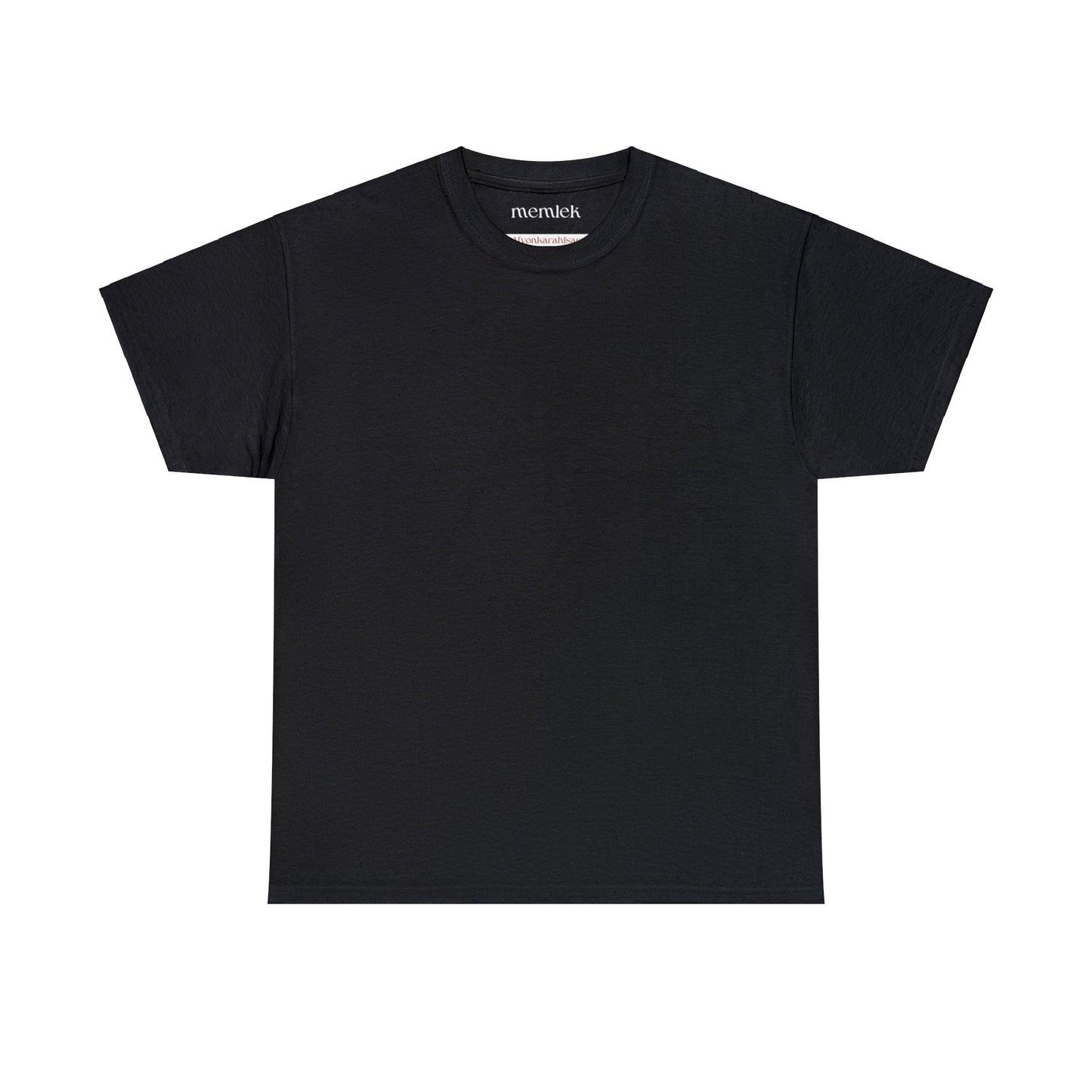 Siyah Lale - 03 Afyonkarahisar - T-Shirt - Back Print - Black/White